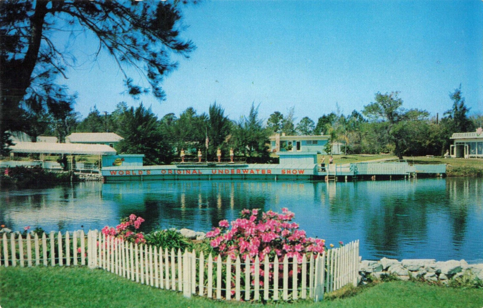 Weeki Wachee FL Florida, Underwater Theater Mermaid Springs, Vintage Postcard