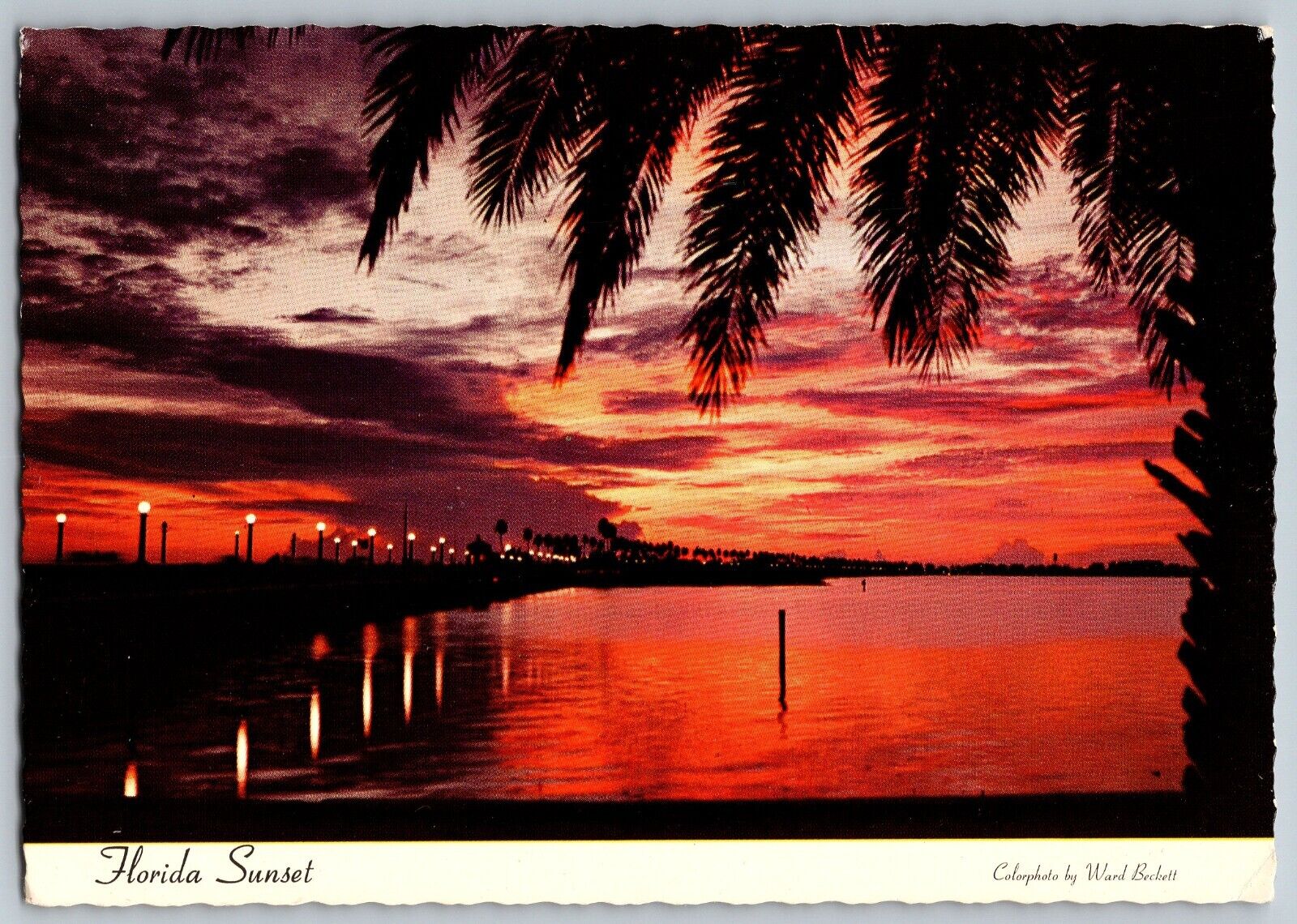 Florida FL - Beautiful Sunsets and silhouettes - Vintage Postcard 4x6 - Posted