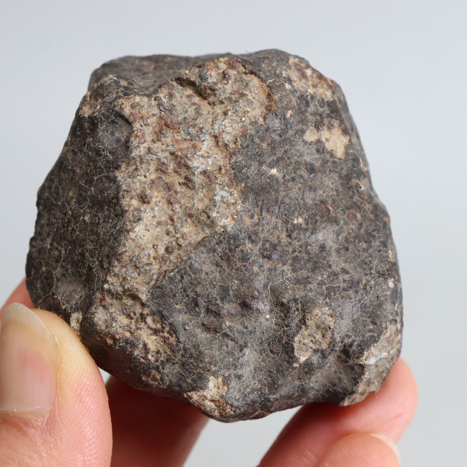 179g NWA natural Unclassified Chondrite meteorite J248