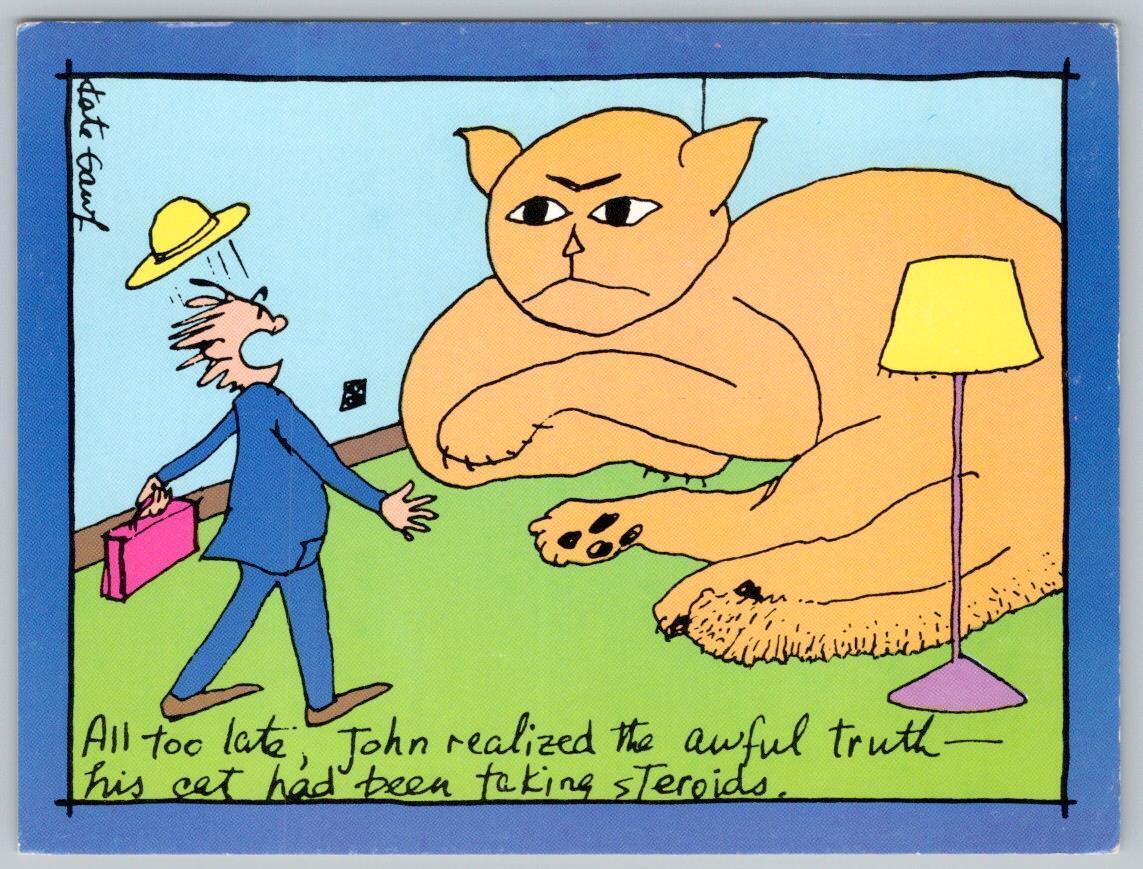 JOHN REALIZED AWFUL TRUTH HIS CAT WAS TAKING STEROIDS*1980s KATE GAWF POSTCARD