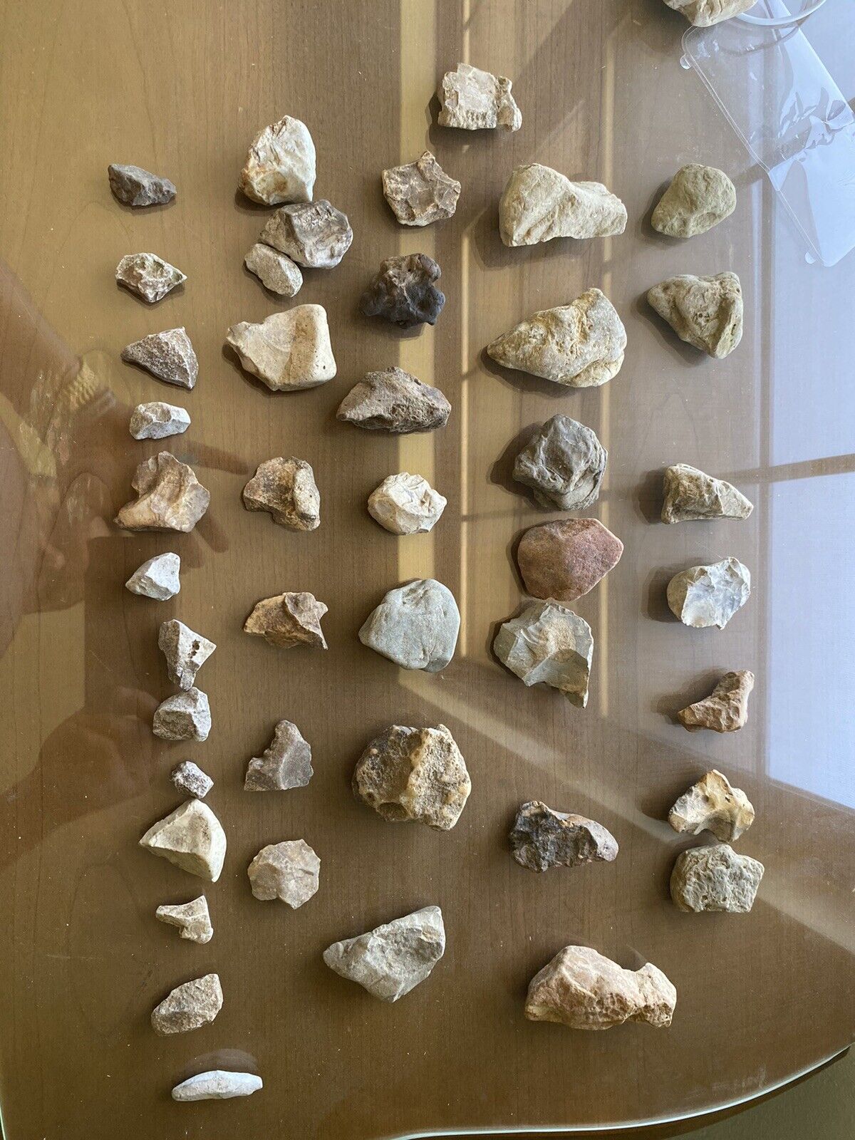 Different Species Dinosaur Teeth . 100 Percent Real Finds Not Reconstruction.
