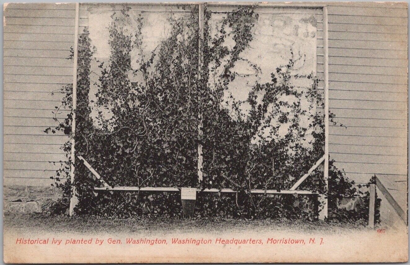 c1900s MORRISTOWN, New Jersey Postcard Historical Ivy Planted by Gen. Washington