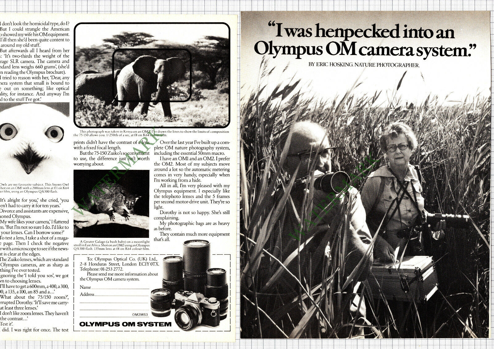 9016) Eric Hosking Nature Photographer Olympus Advert - 1976 2-Part Cutting
