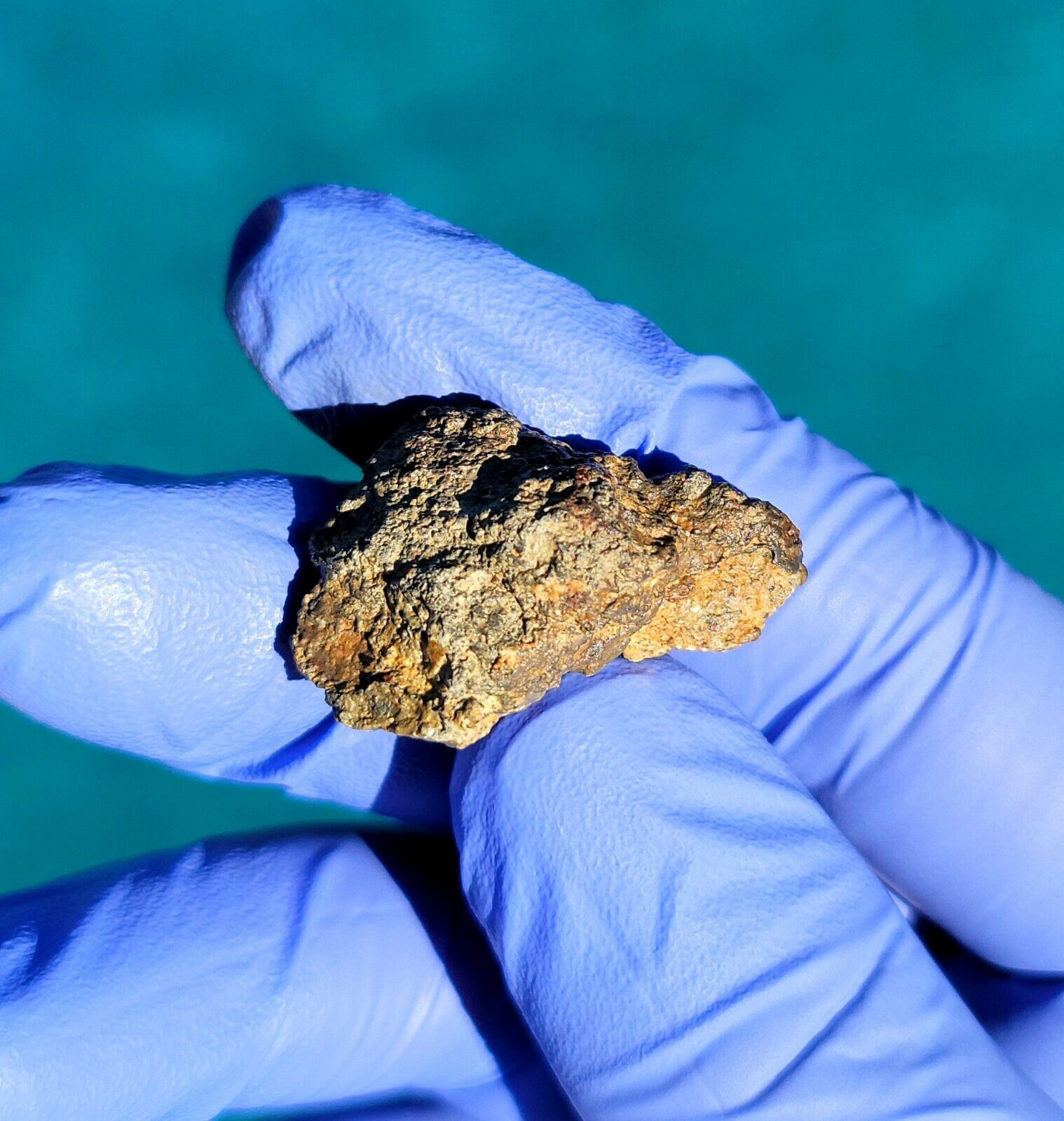 Meteorite**NWA 13788, NEW LUNAR MELT BRECCIA**8.343 gram, RARE W/GOLDEN CLASTS