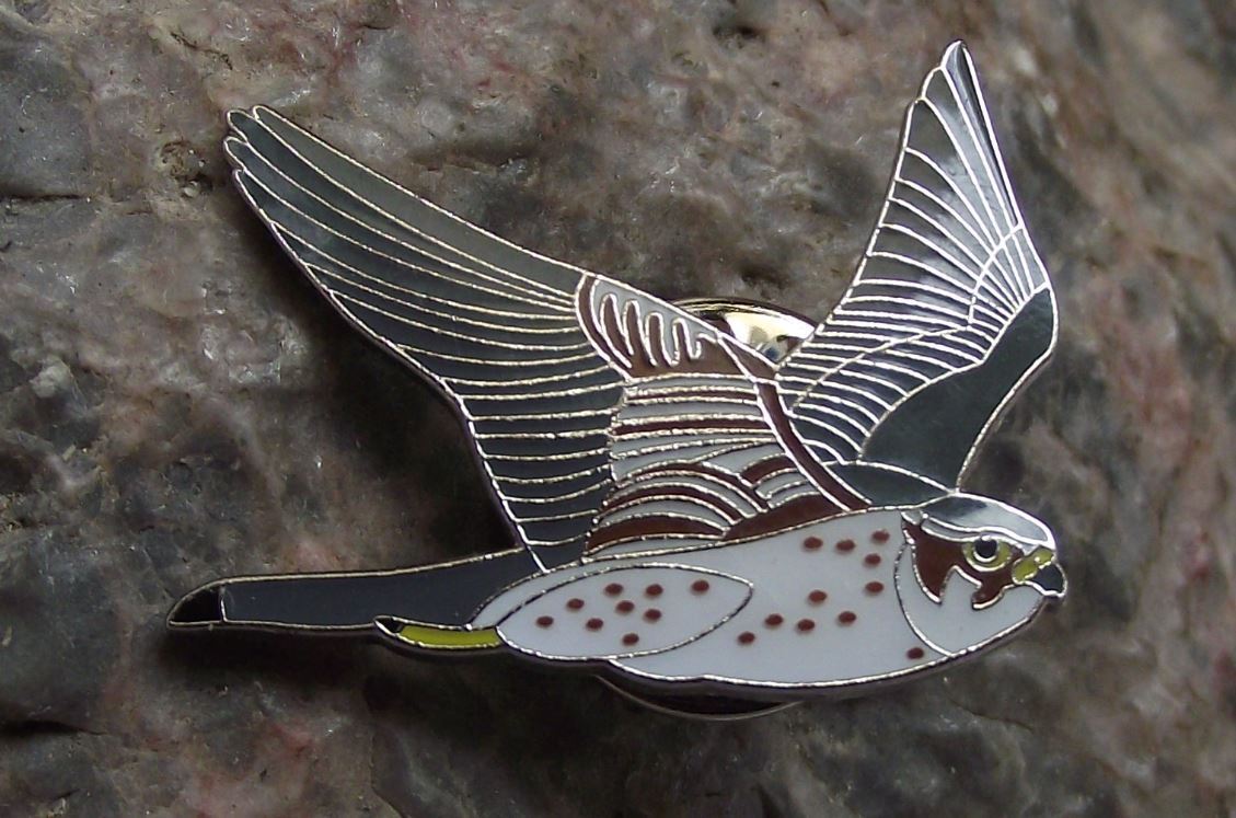 North American Pigeon Hawk Merlin Wildlife Protection Bird Brooch Pin Badge