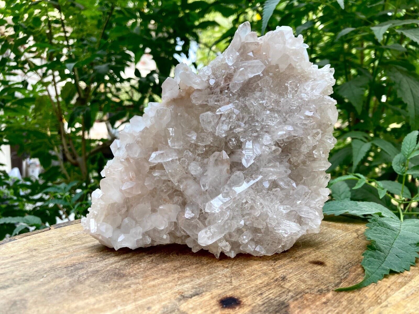 Healing Himalayan Quartz Natural Crystal 557gm Rough Minerals Manikaran Specimen