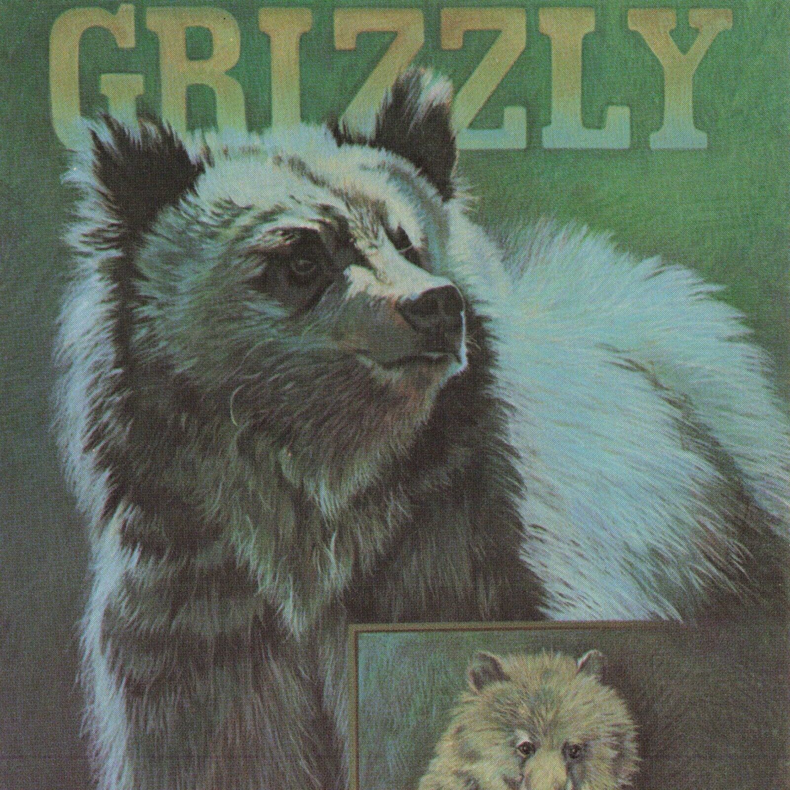 Postcard Grizzly Bear Endangered Species Illustration Art Michael E.N. Zollinger