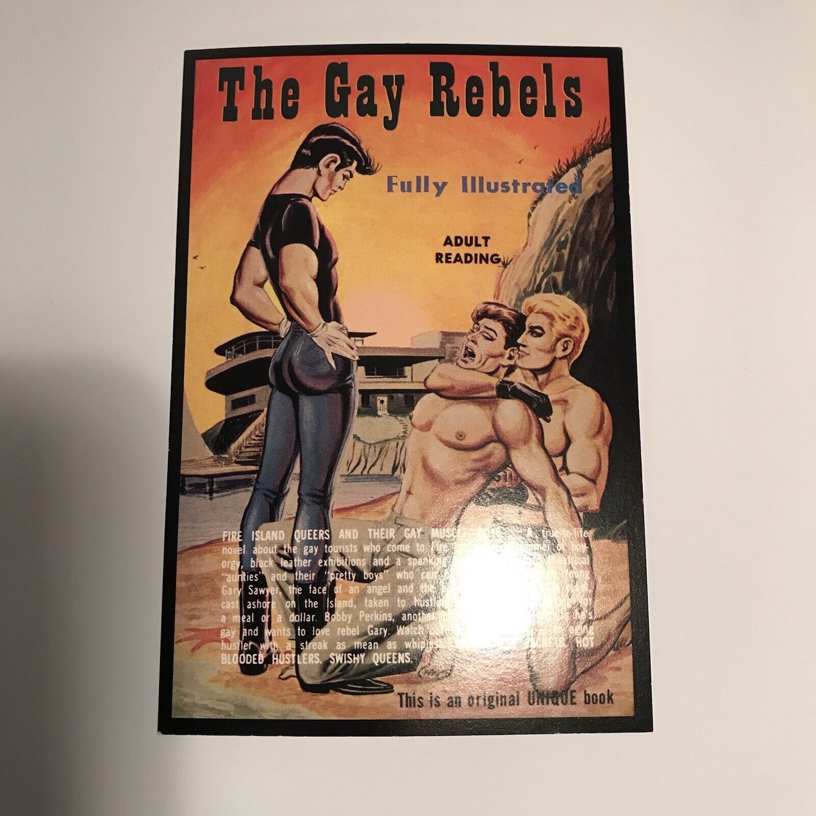 Vintage Rare “The Gay Rebels” postcard Pride Month Present LGBTQ+ Collections