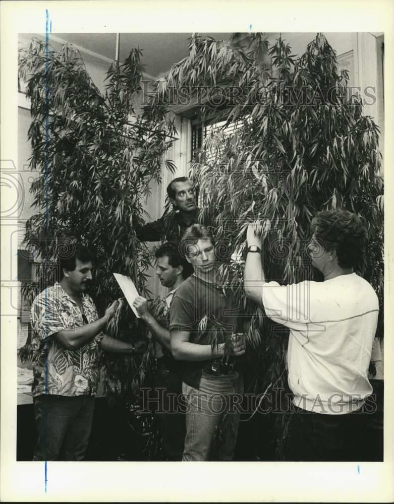 1987 Press Photo Detectives examine suspected drug plants, South Beach