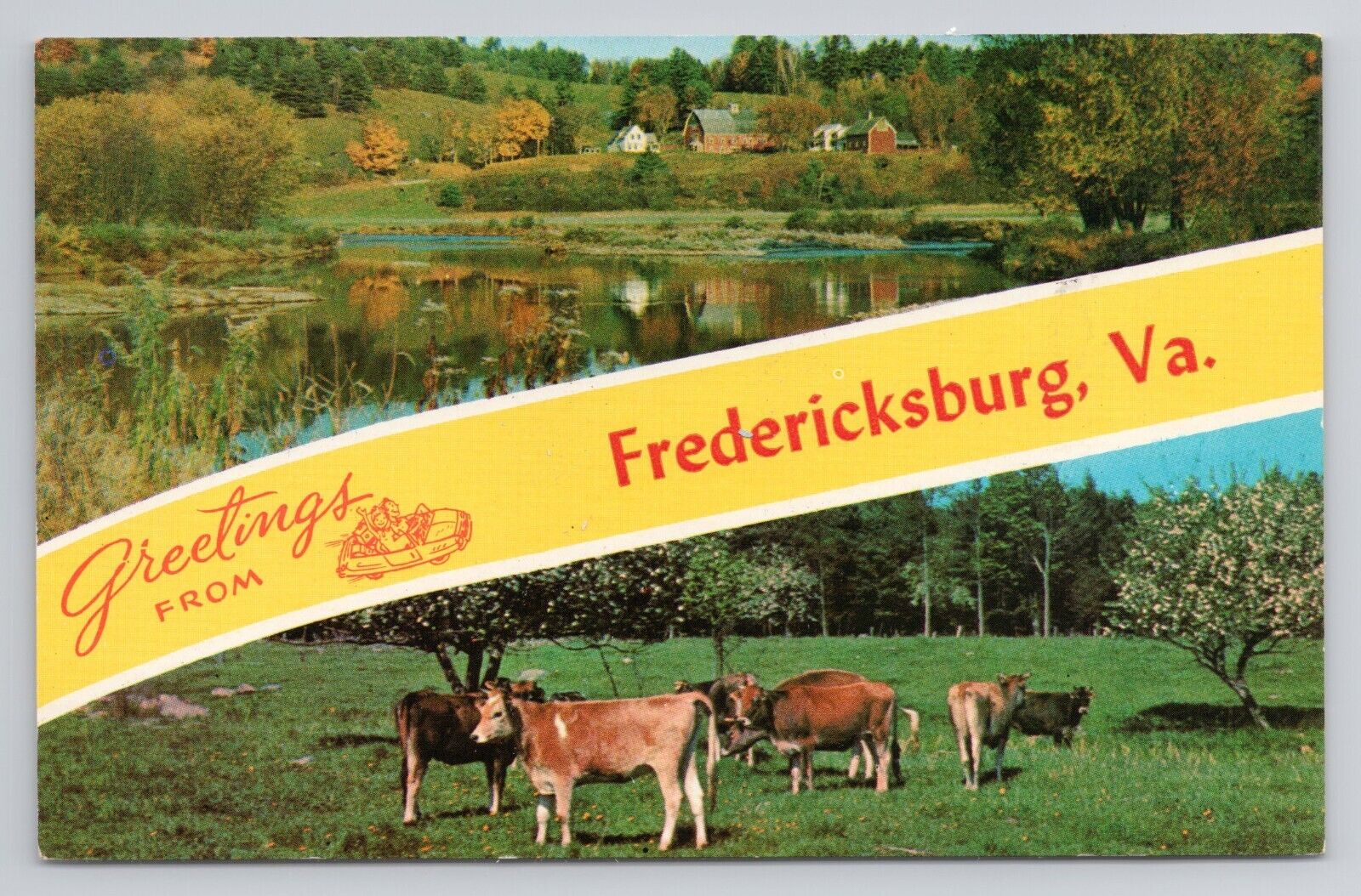Greetings From Fredericksburg Va. Chrome Postcard 1016