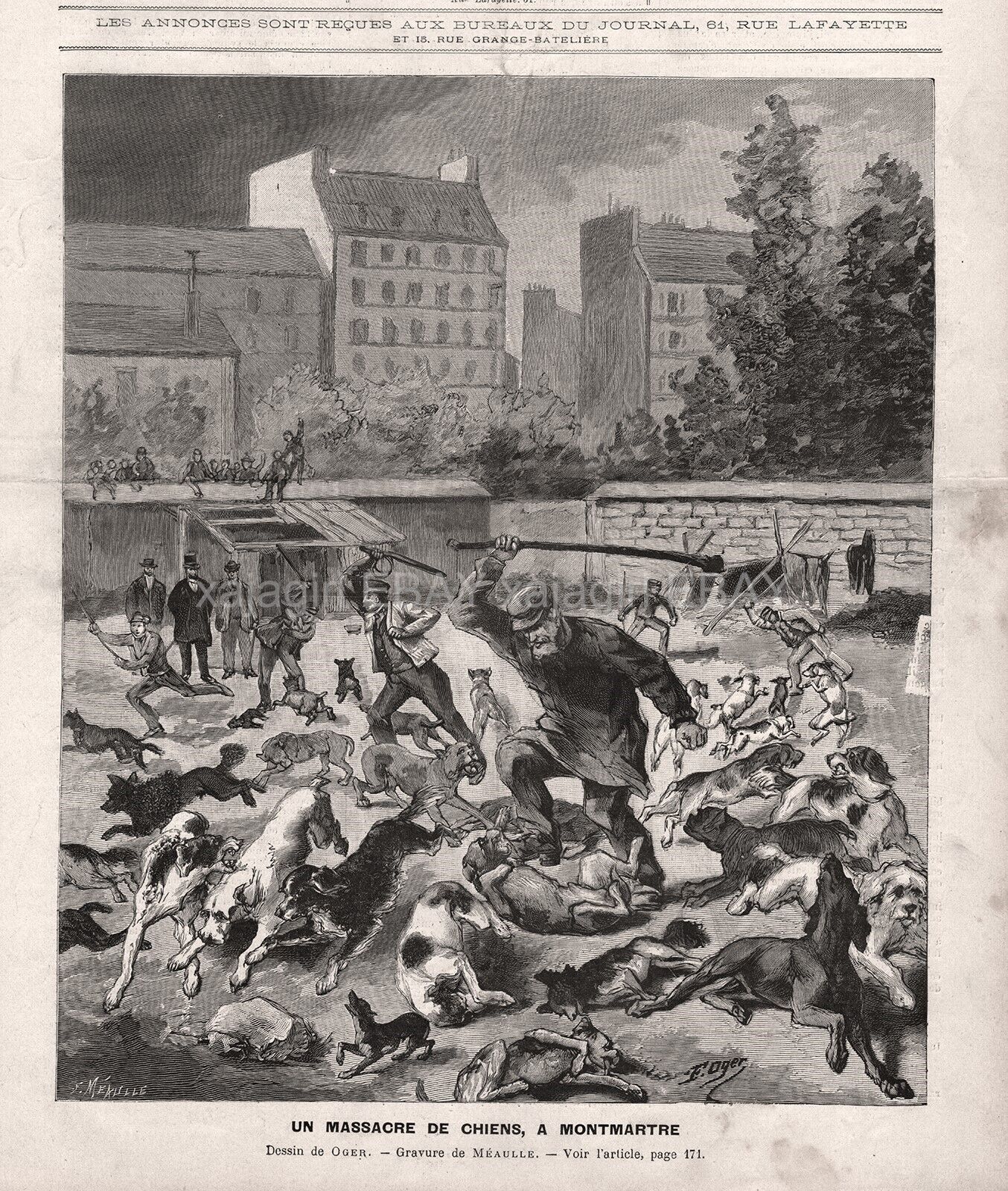 Dog Cruelty Dogs Killed By Police Paris, Rabies Scare, Large 1880s Antique Print