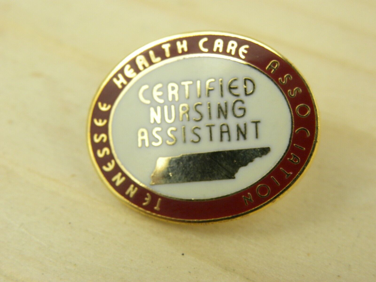 Tennessee Health Care Association Pin CNA Gold Tone Enamel Medical