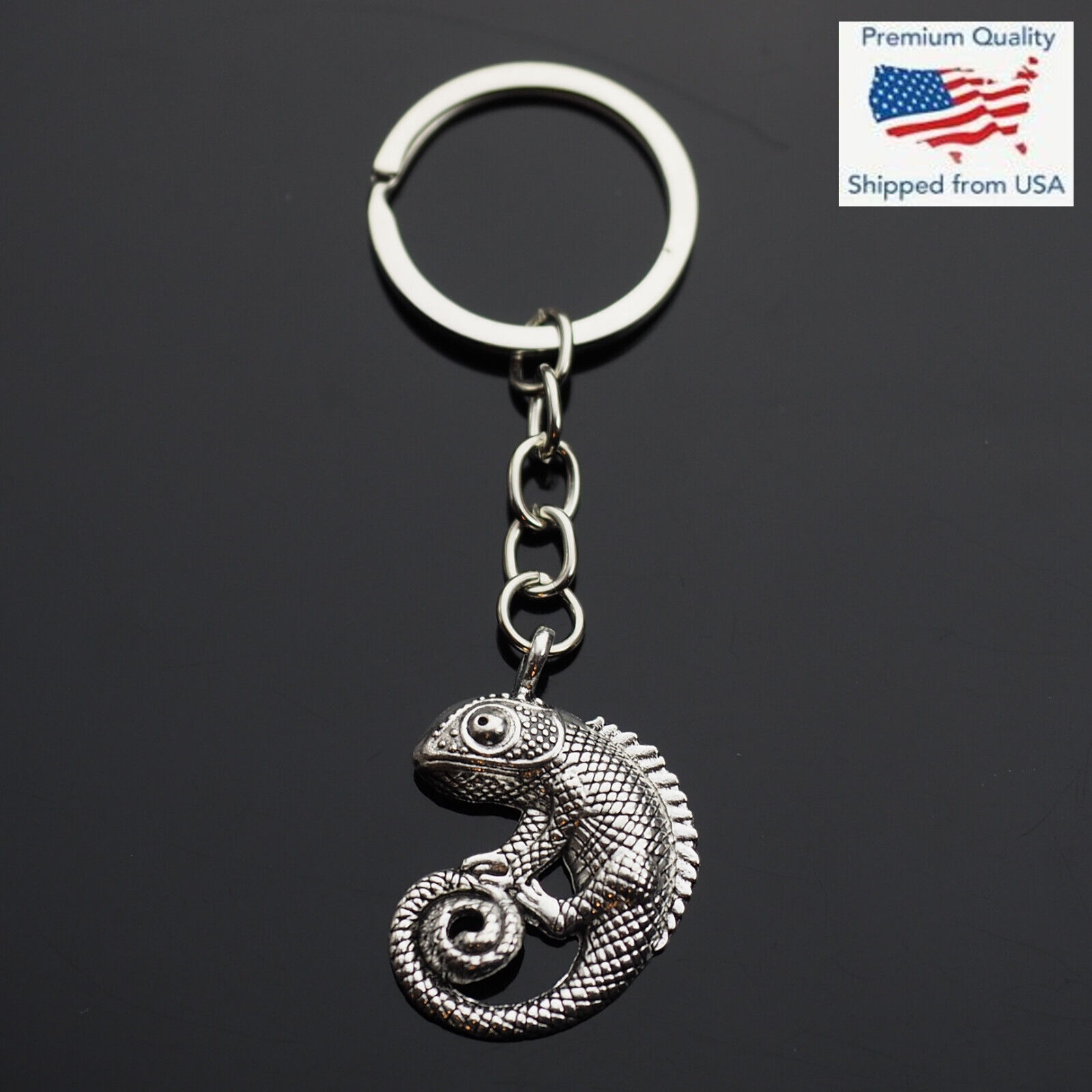 Chameleon Curly Tailed Lizard Charm Pendant Keychain Key Chain Ring Cute