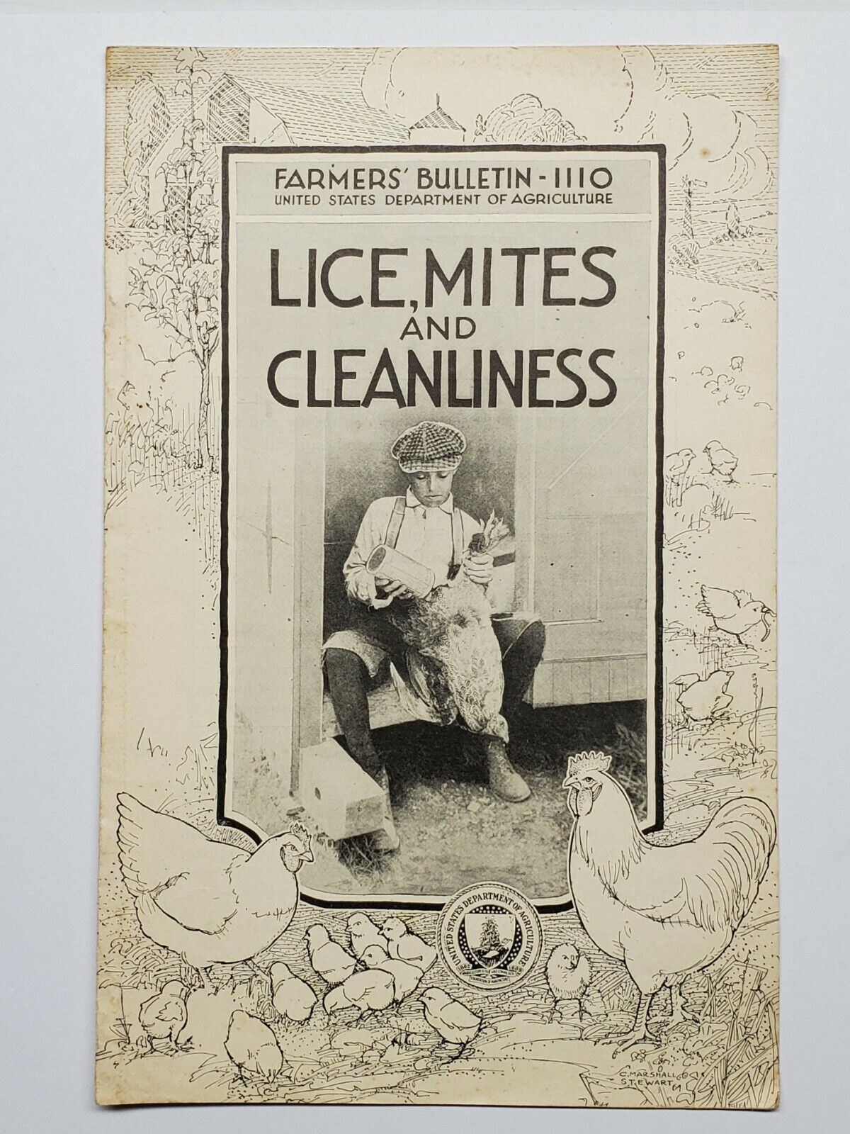 Lice Mites Cleanliness Chicken Farmers Bulletin 1110 US Dept of Agriculture 1921