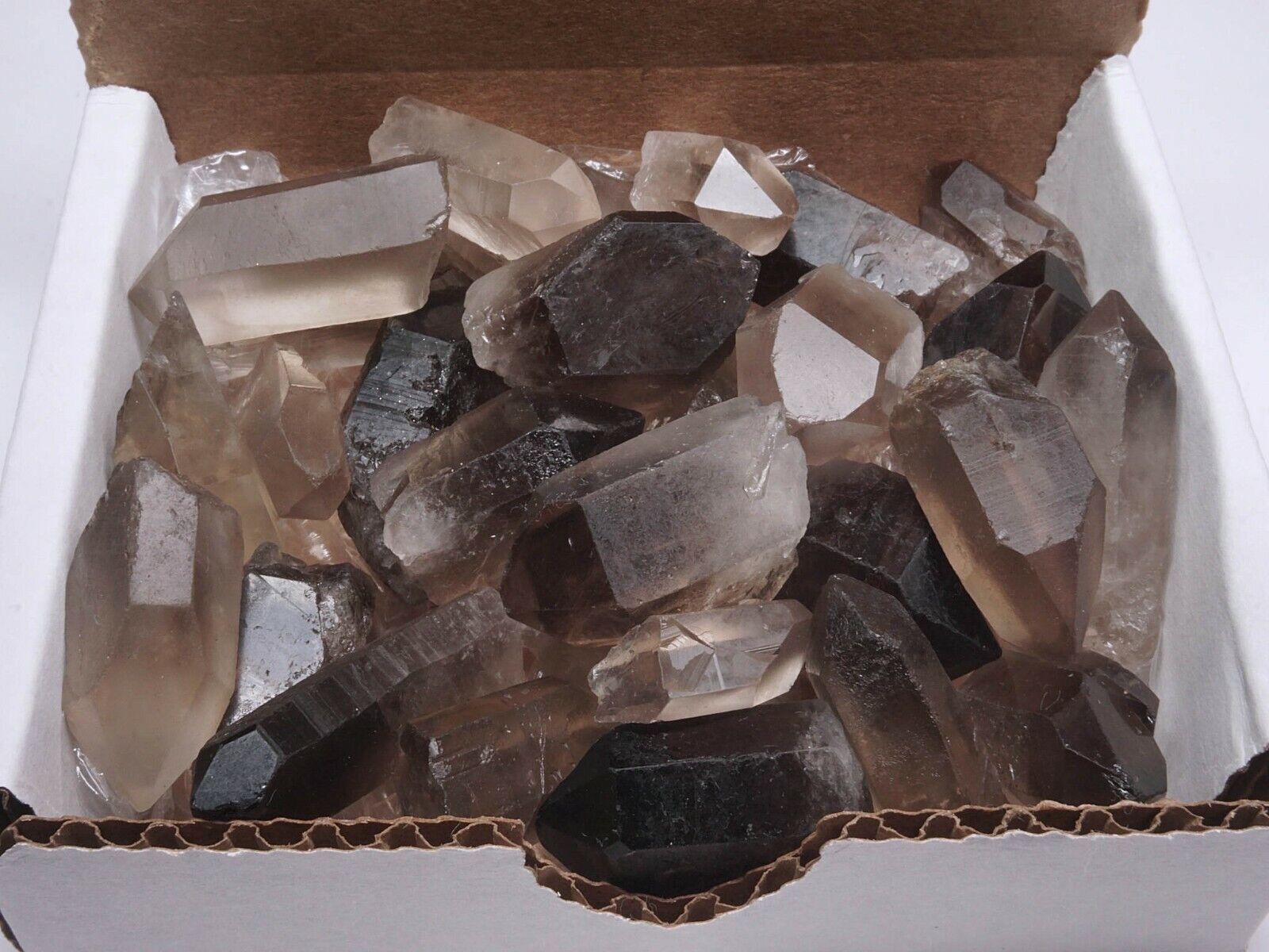 Smoky Quartz Points Collection 1/2 LB Natural Clear Brown Crystals Brazil