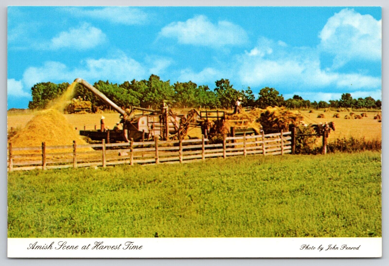 Amish Scene at Harvest Time North Indian Postcard Threshing Machine Action Scene