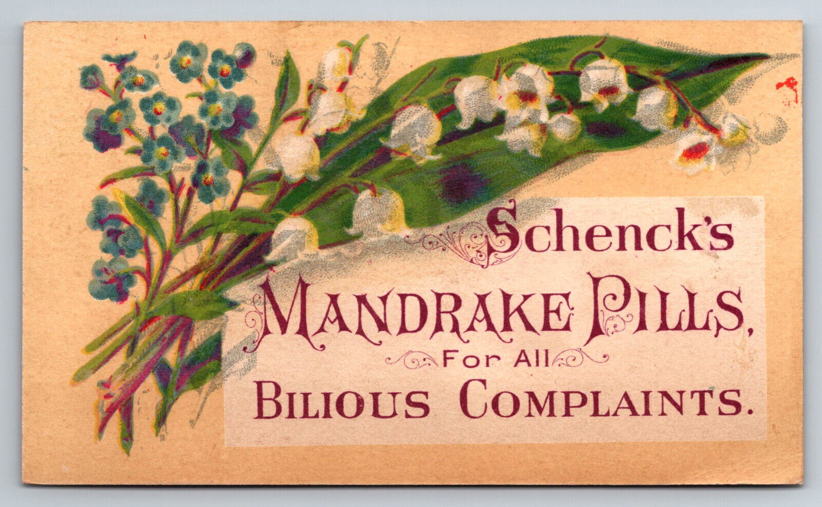 1890s Victorian Trade Card Schenck\'s Mandrake Pills Quack Medicine PA ~7886