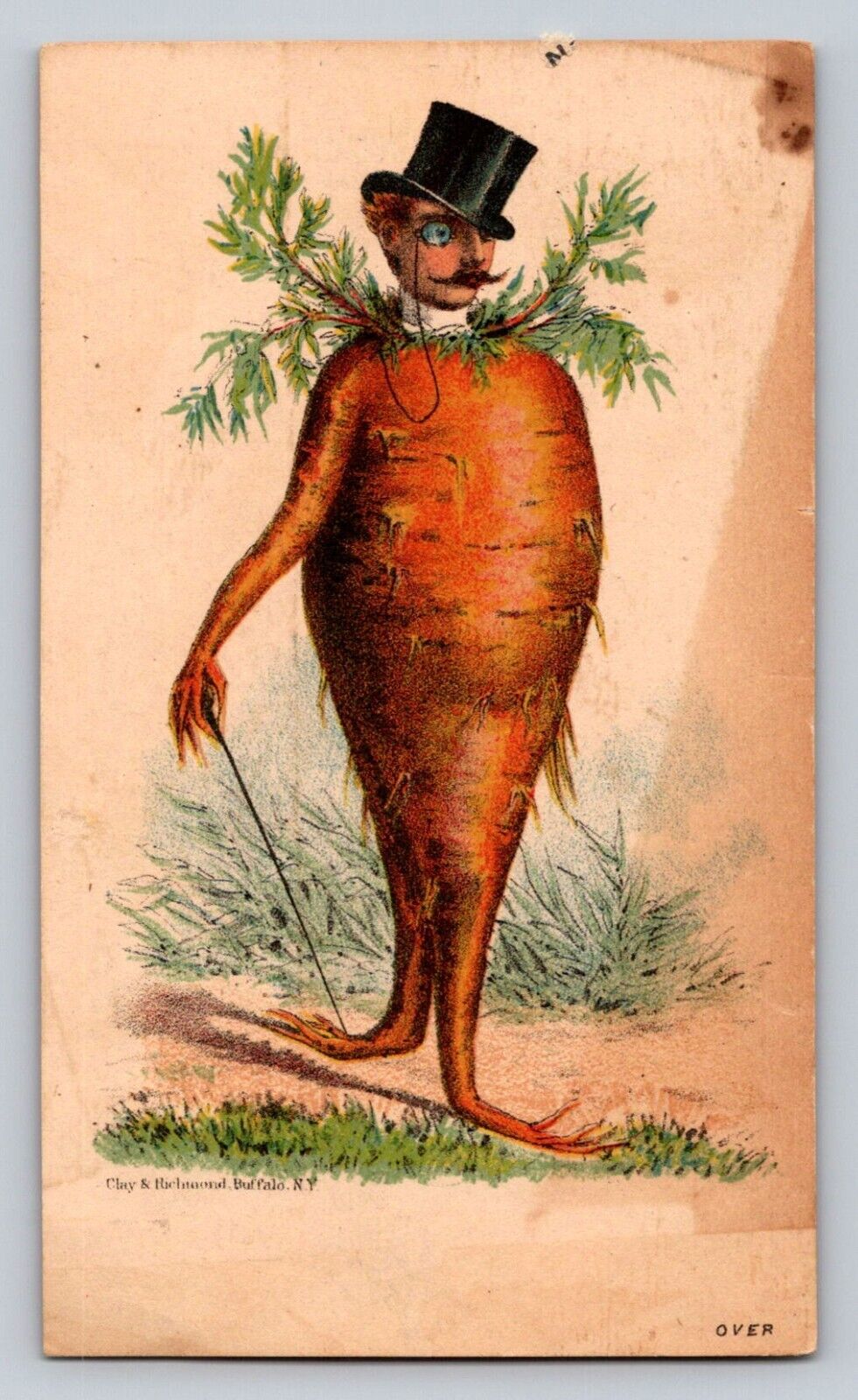 Anthropomorphic Carrot Man L L Crockers Buffalo Honest Fertilizers P563
