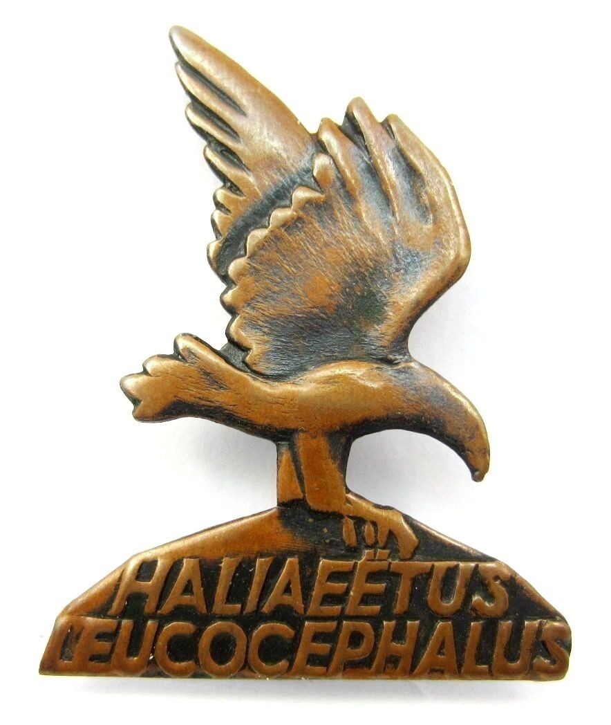 Bald eagle Haliaeetus leucocephalus Soviet Russian Pin Badge