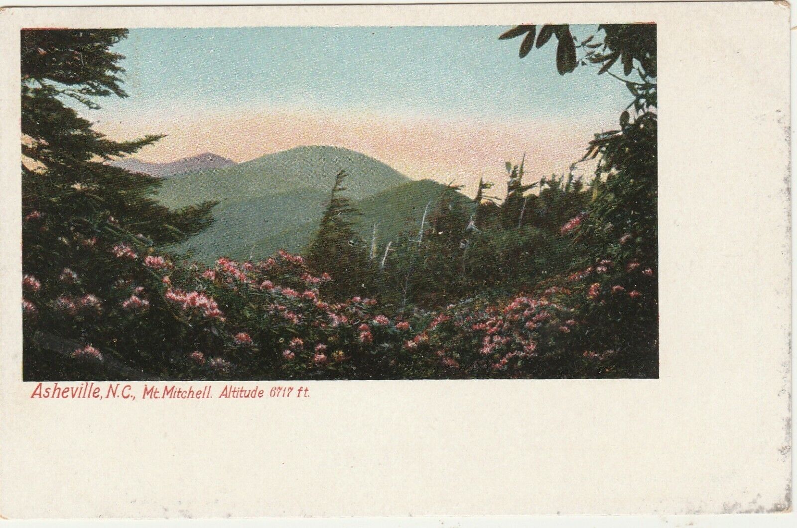 Asheville NC -- Mt. Mitchell, Altitude 6717 Ft. -- Undivided Back Postcard