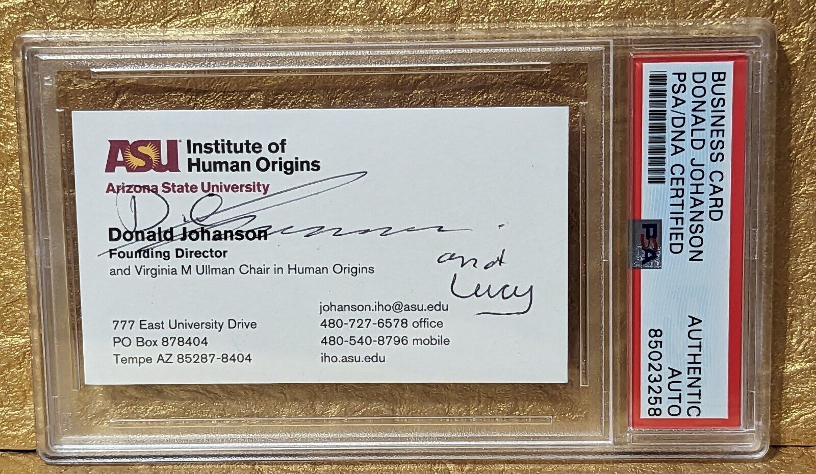 Donald Johanson PSA/DNA Autograph Signed Business Card Lucy Paleoanthropologist