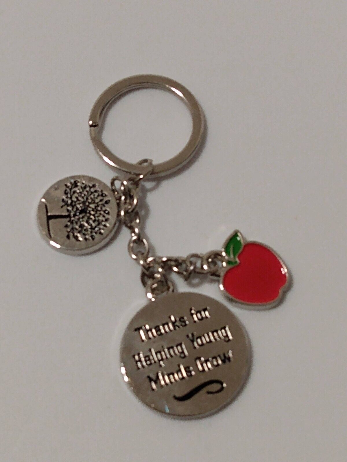 Thanks for Helping Young Minds Grow Teacher Charms Keychain