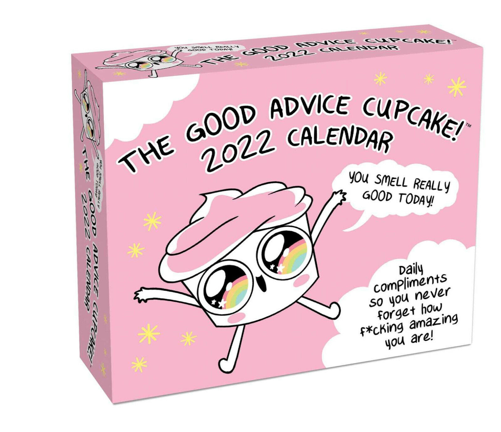 Andrews McMeel Good Advice Cupcake 2022 Day-to-Day Calendar    w