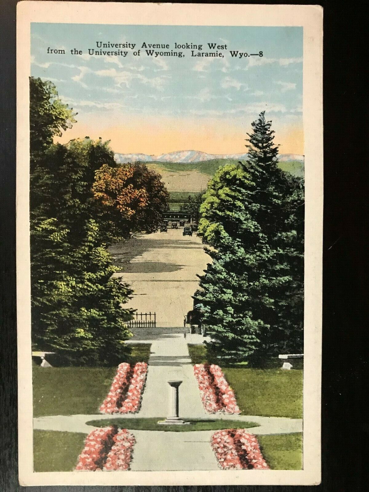 Vintage Postcard 1915-1930 University Ave. University of Wyoming Laramie Wyoming