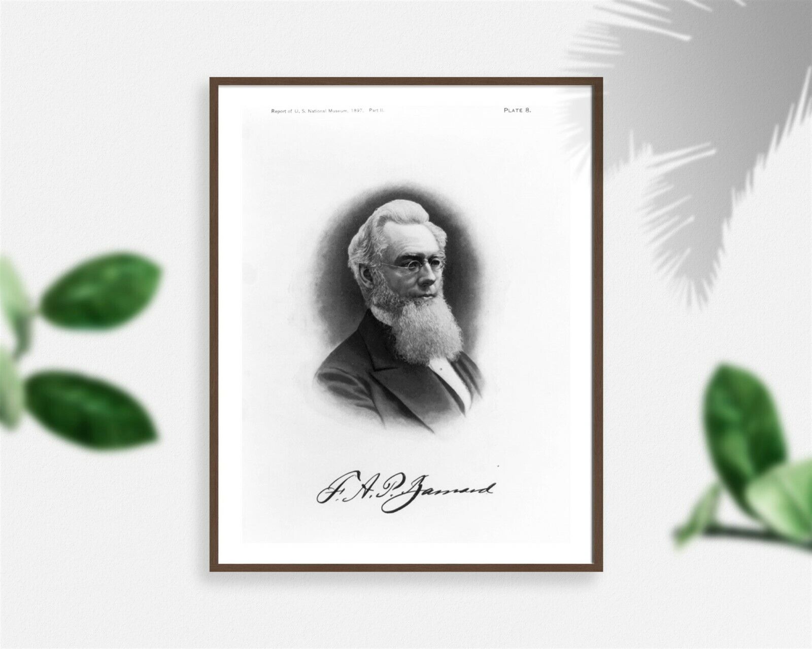 Photo: Frederick Augustus Porter Barnard,1809-1889,American scientist,educationa