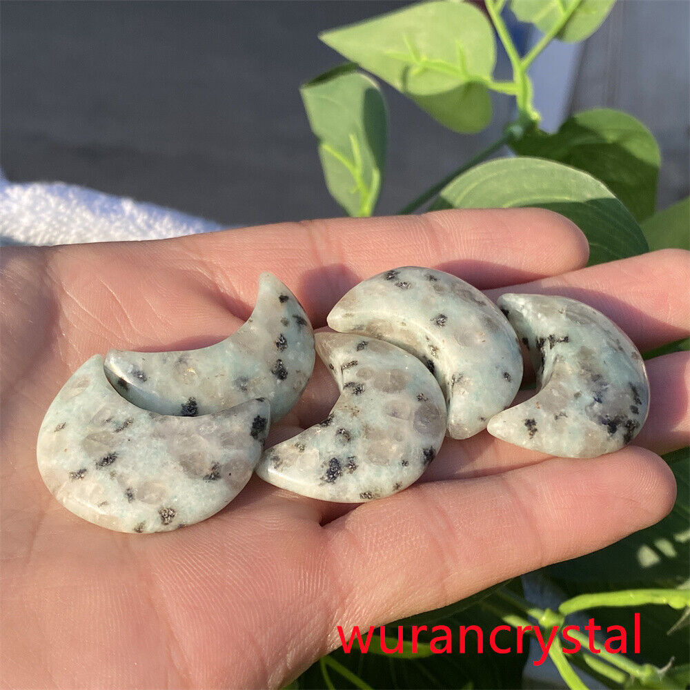 5pcs Natural Tianshan blu Moons Carved Quartz Crystal Skull Reiki Healing gifts