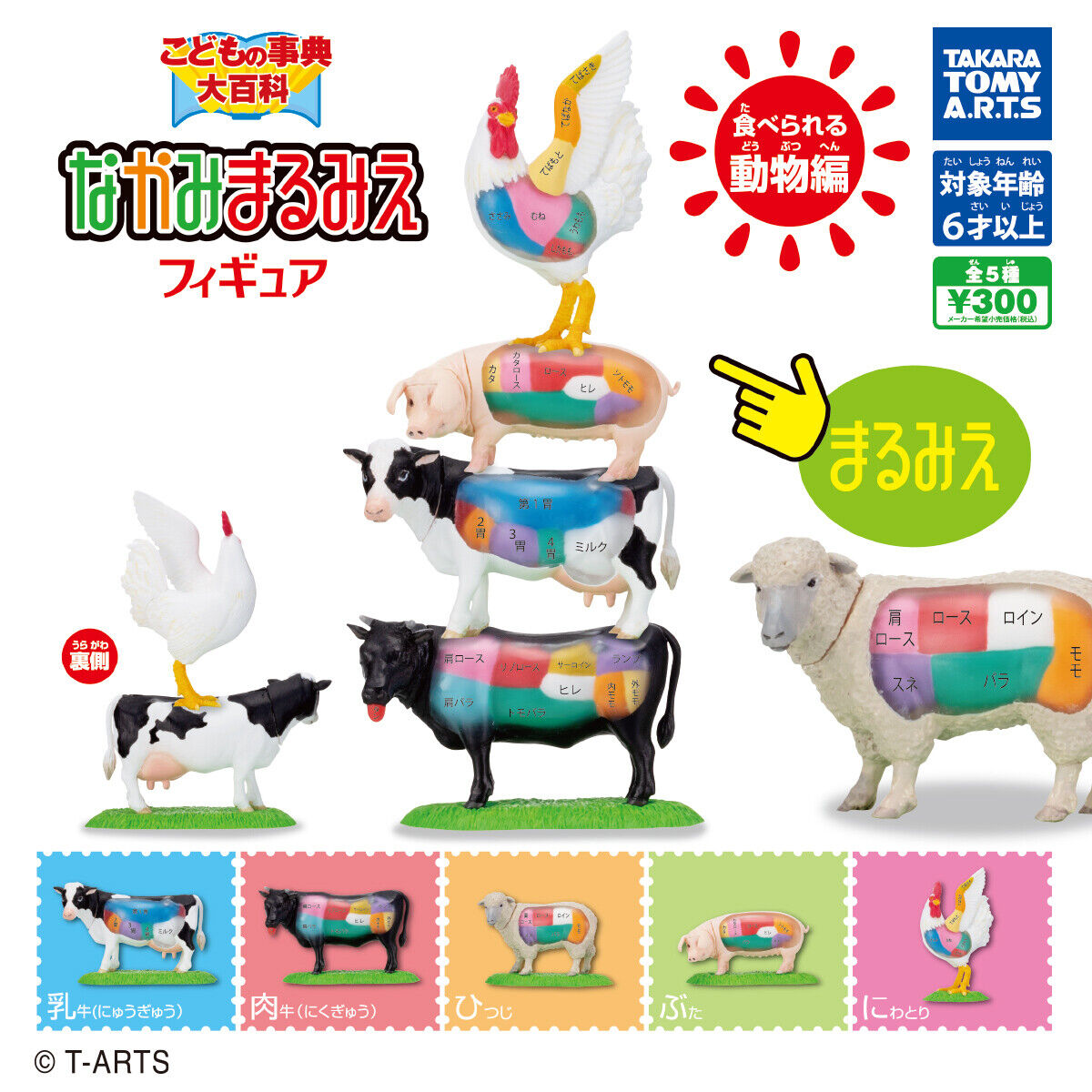 Children's Encyclopedia Nakami Marumie Figure Edible Animals Gacha Capsule 425Y