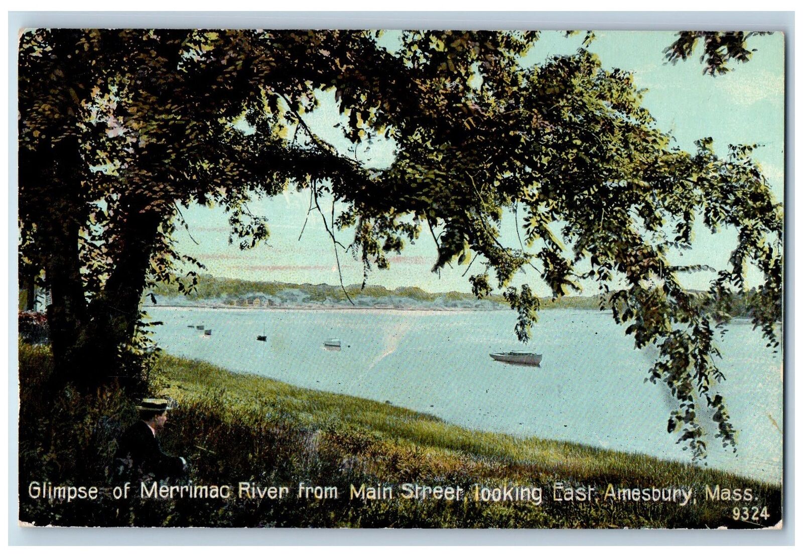c1910's Glimpse Of Merrimac River Man On Tree Amesbury Massachusetts MA Postcard