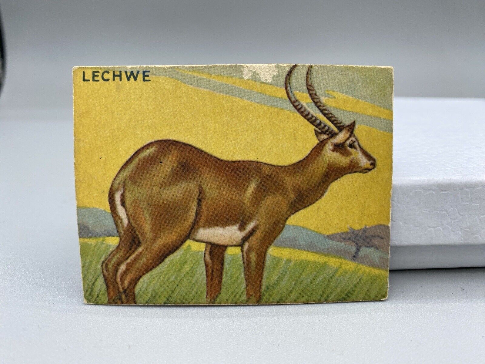 Jungle Chewing Gum card #22 Lechwe, World Wide Gum Company