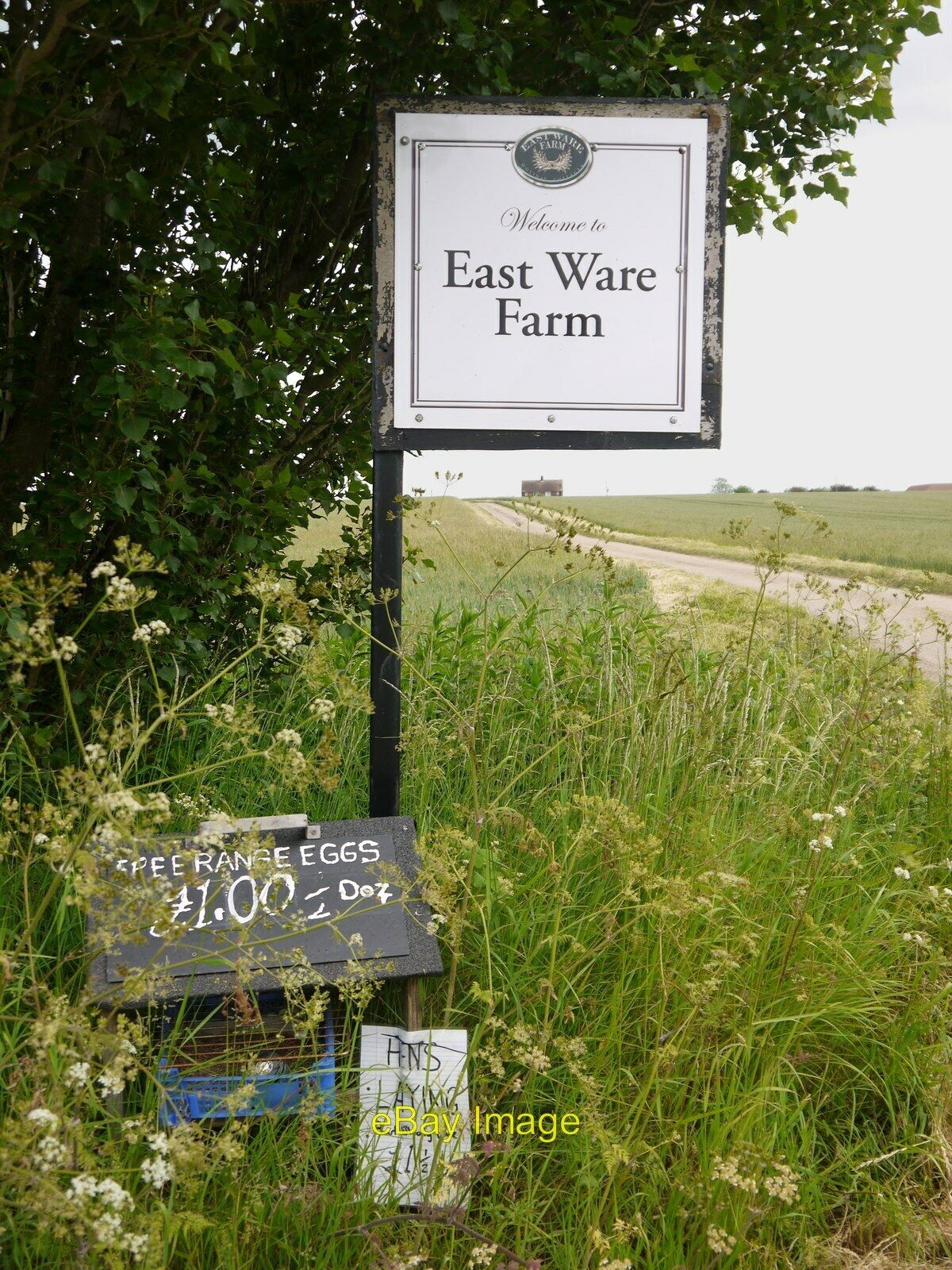Photo 6x4 Free range eggs at farm entrance East Ware Farm Free range eggs c2016