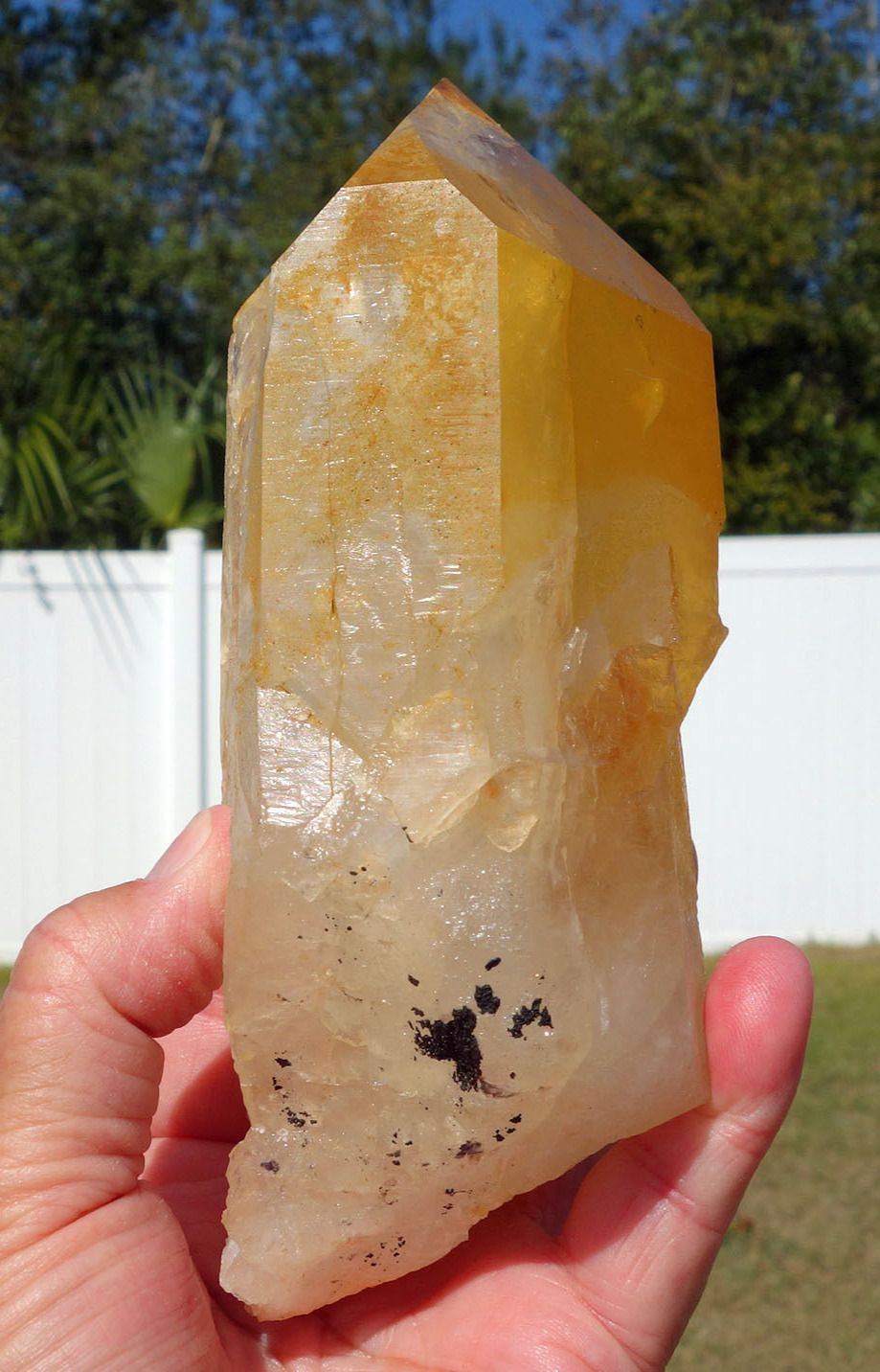 Old Time ARKANSAS USA Natural GOLDEN HEALER Clear Quartz Crystal Point For Sale