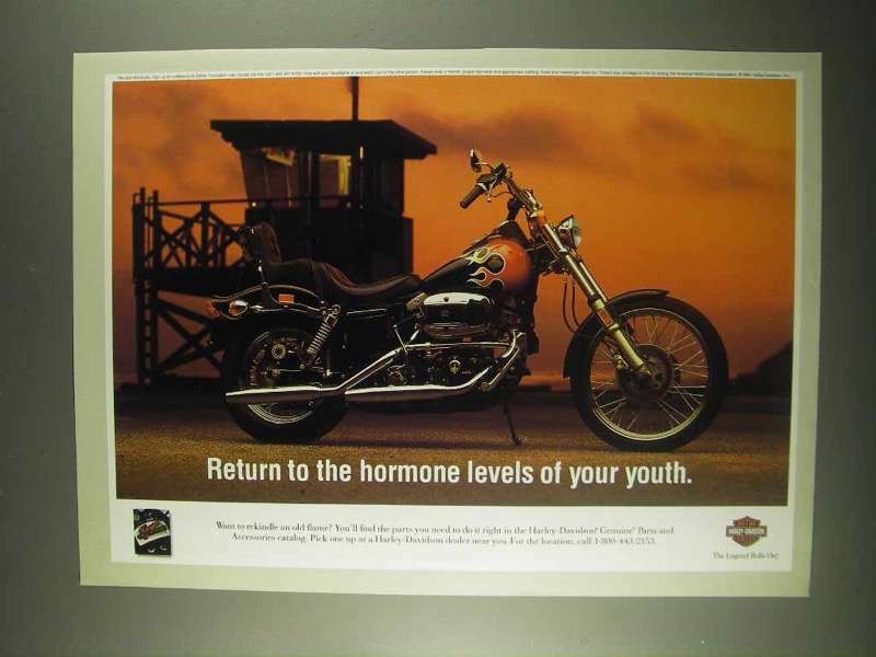 1995 Harley-Davidson Genuine Parts Ad - Hormone Levels