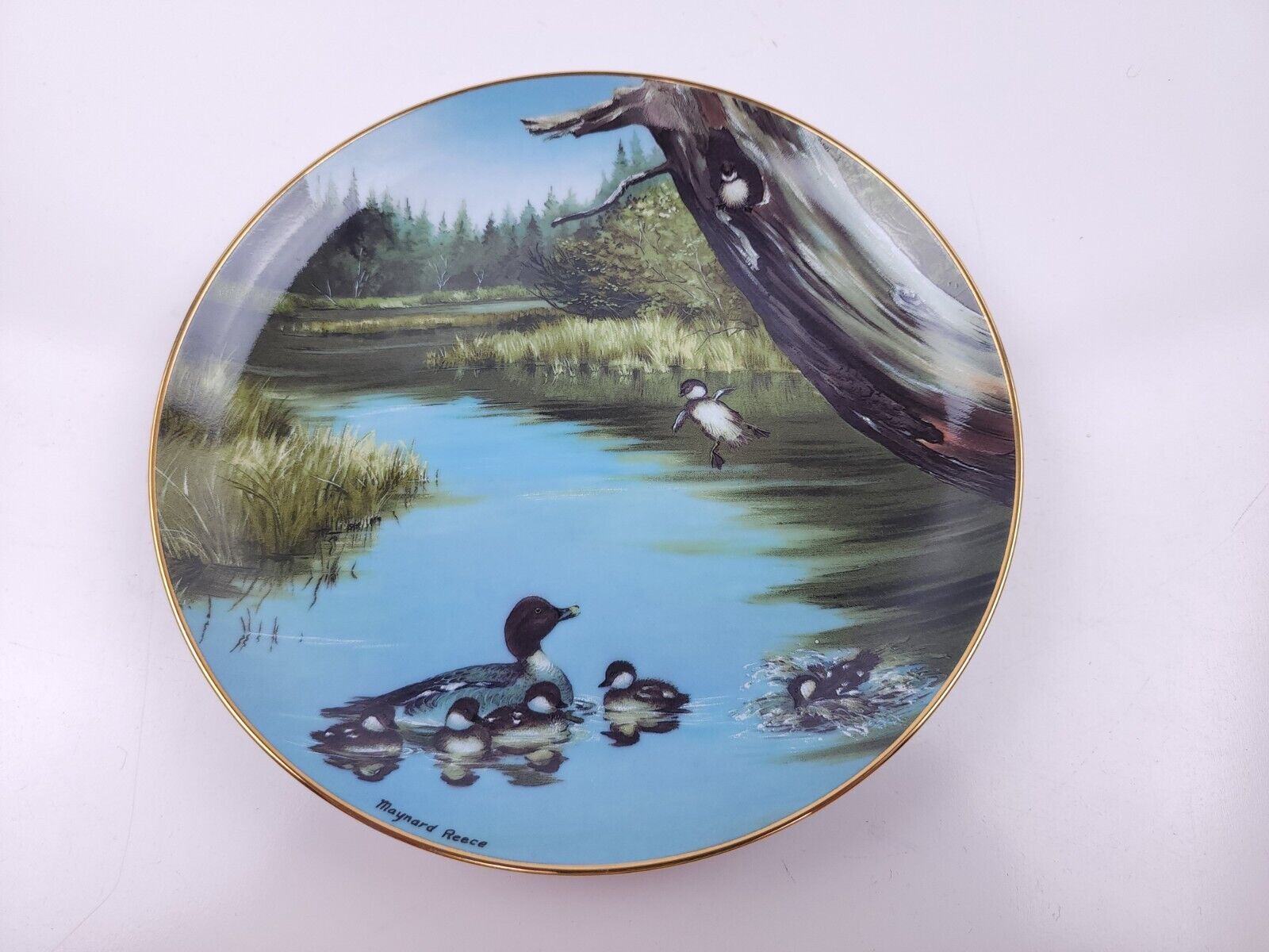 Danbury Mint The Swimming Lesson Wonders of the Wetlands Plate by Maynard Reece