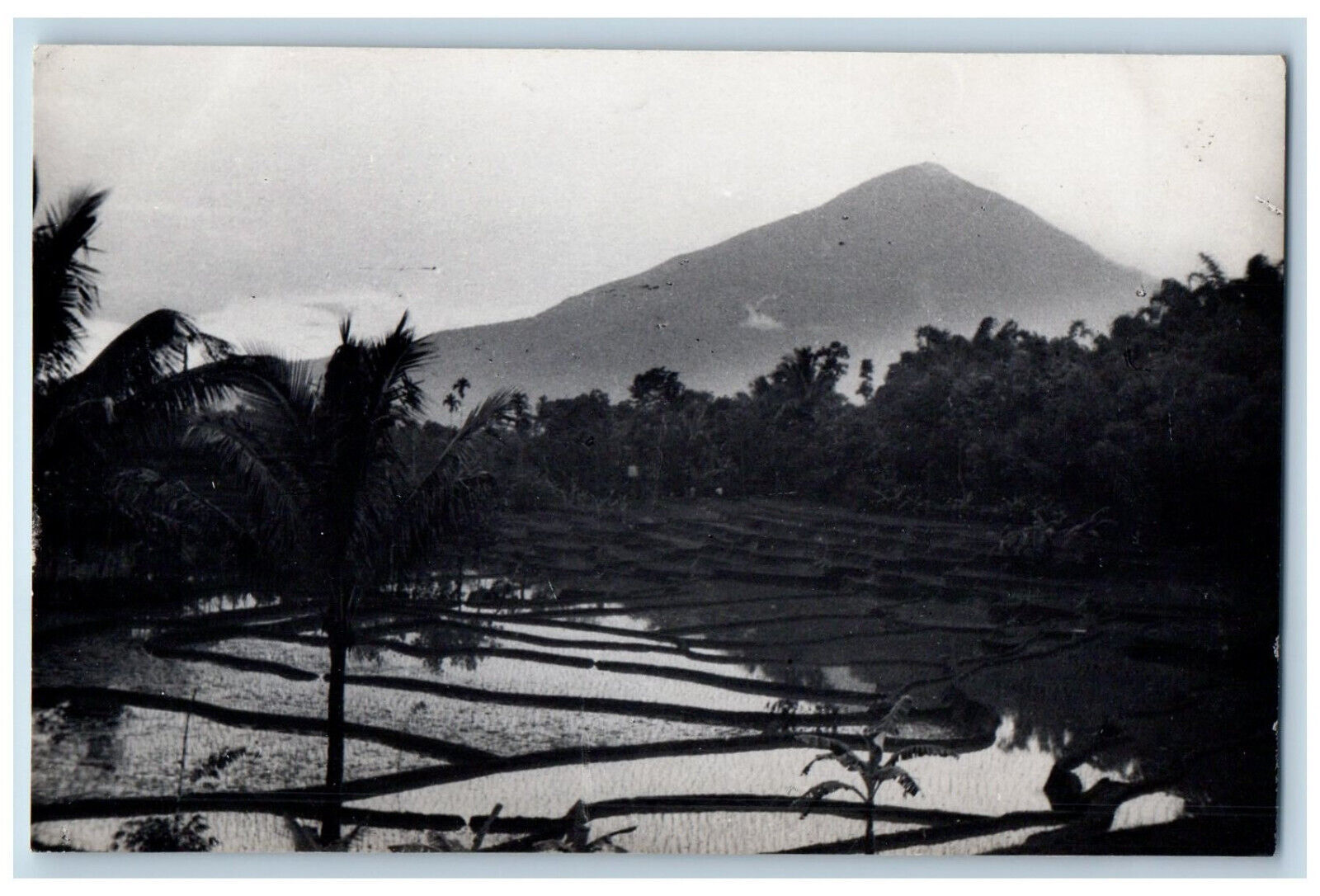Garut West Java Indonesia Postcard Rice Terraces in Java c1910 RPPC Photo