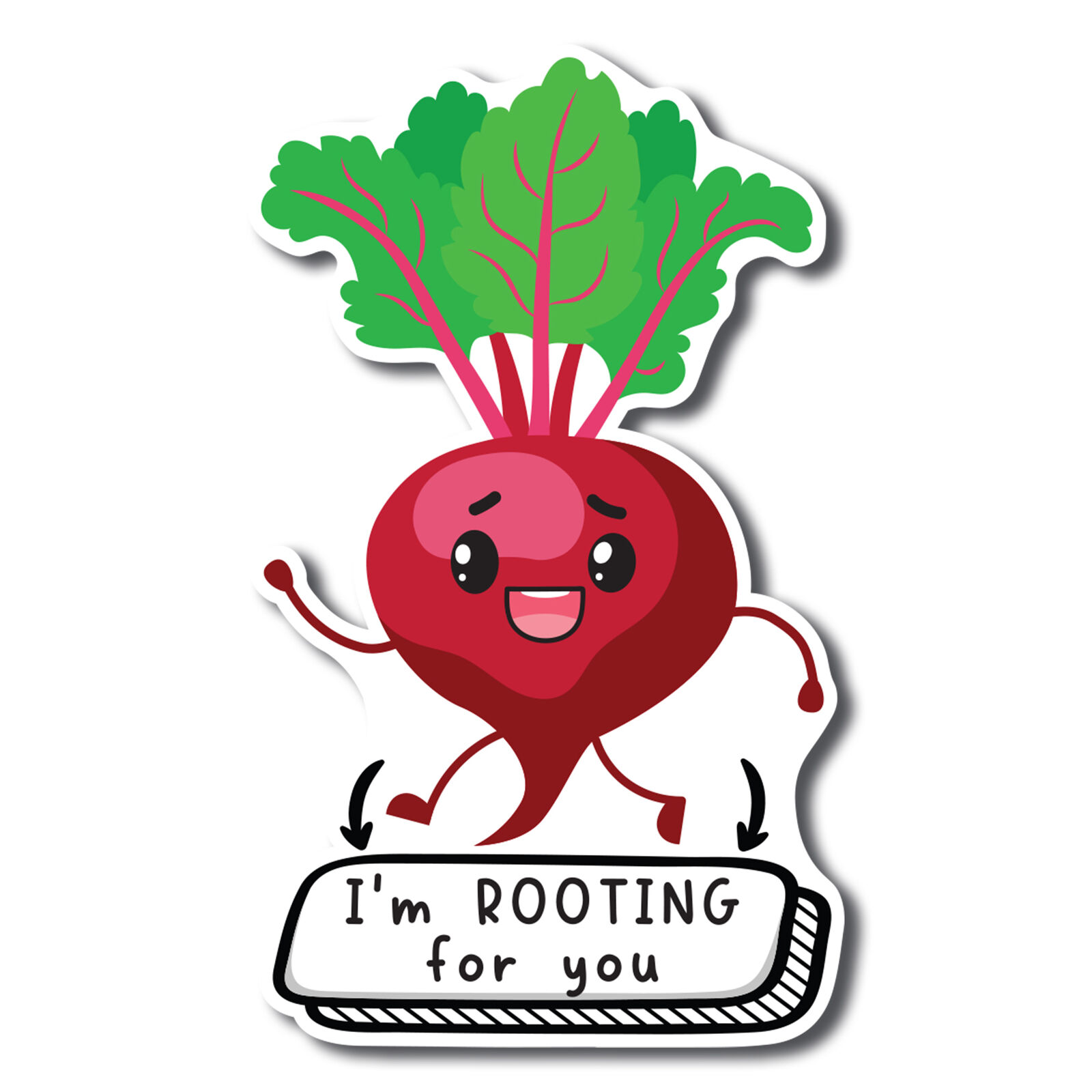 I'm Rooting For You Cute Funny Plant Succulent Magnet Decal, 5 inches