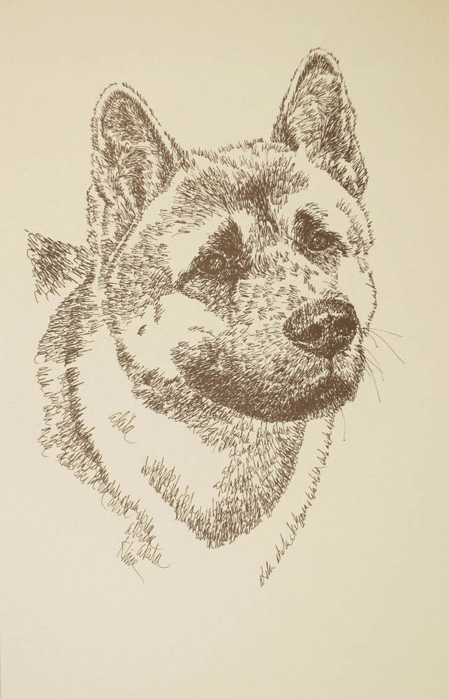 AKITA DOG ART Signed Stephen Kline Lithograph #59  Your dogs name added free.