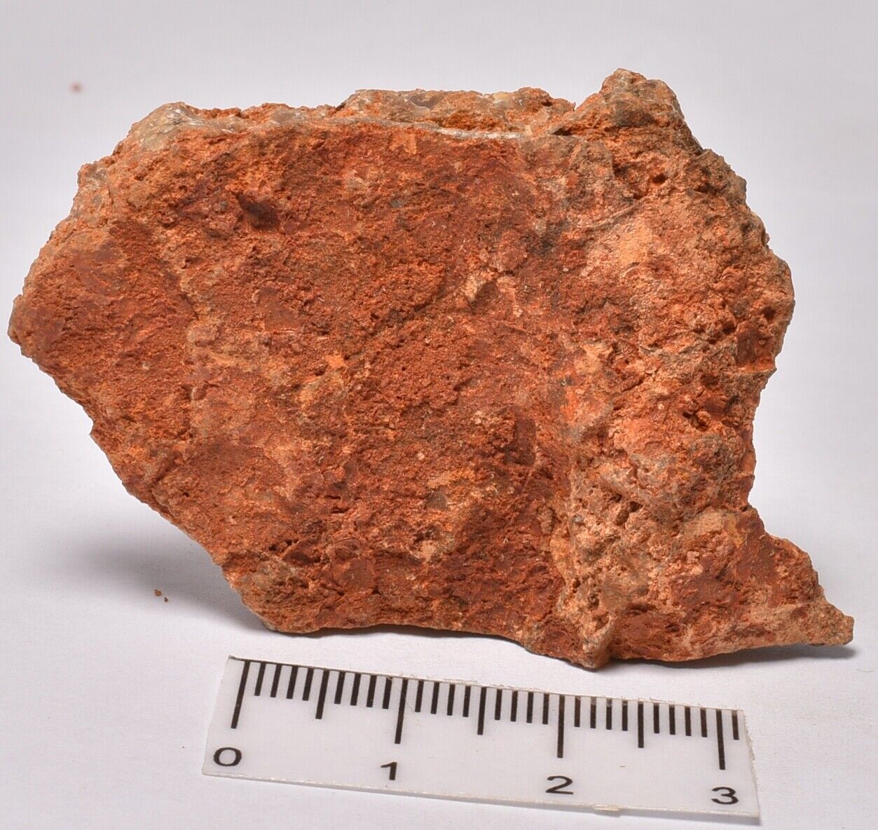 MICROBIAL MAT, Dresser Fmt, Stromatolite, North Pole Dome 18.6 SM109