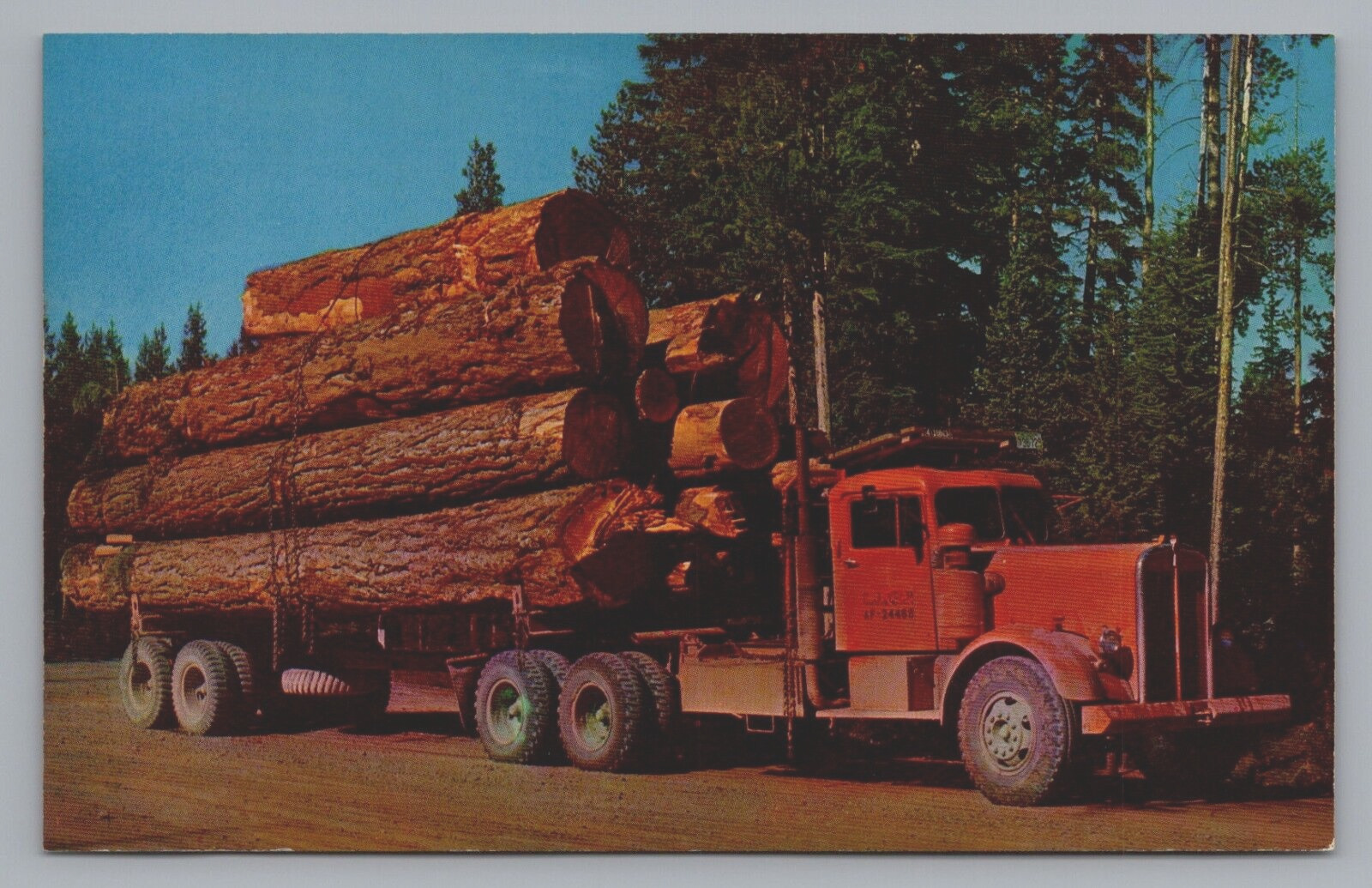 Postcard Oregon Logging Truck Paul Bunyan\'s Toothpicks Chrome Unposted C551