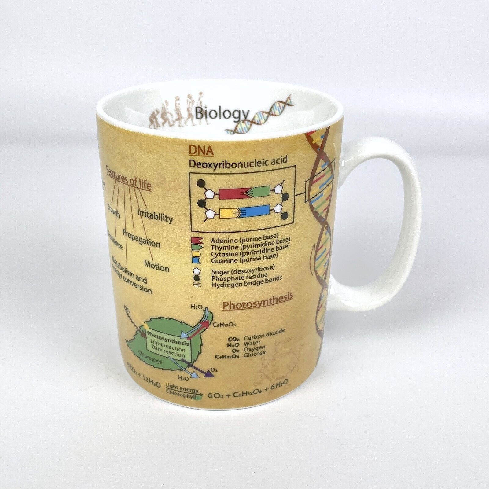 Mug of Knowledge 14 fl. oz. Biology DNA Photosynthesis Coffee Mug Cup by Konitz