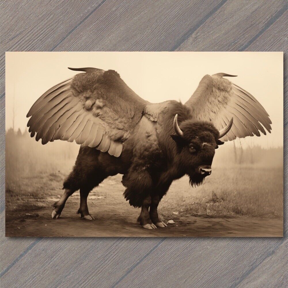 POSTCARD Majestic Winged Buffalo Soaring in the Sky Buffalo Wings Funny
