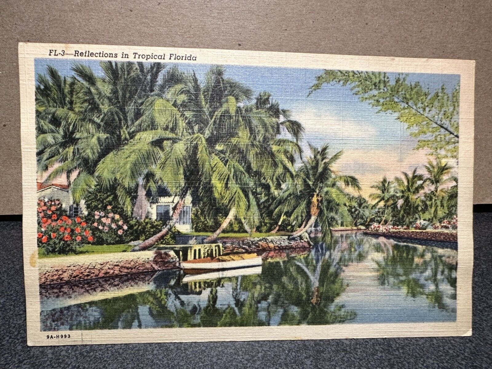 Reflections in Tropical, Miami Florida, 1941 USA Collectible Unposted Postcard
