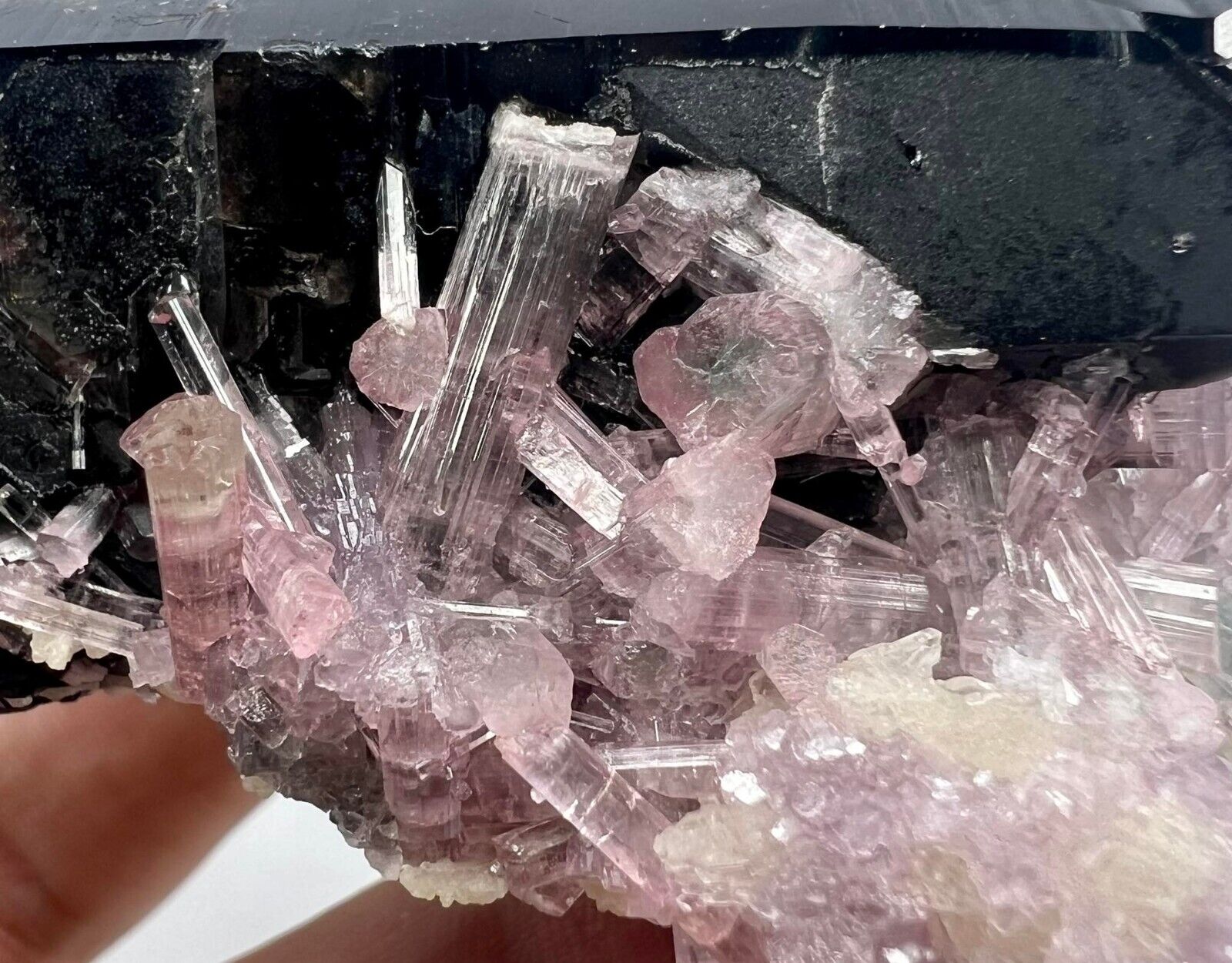 F/Well Terminated Transparent Pink Tourmaline Crystals On Quartz @AFG. 553 Carat