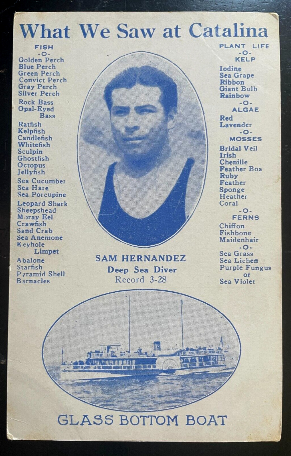 Vintage Postcard 1907 Sam Hernandez, Deep Sea Diver, Catalina, California (CA)