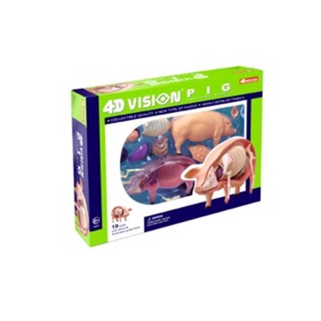 Tedco Toys 26102 4D Vision Pig Anatomy Model