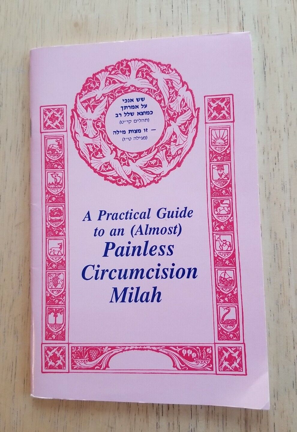 Vintage book 1983 A Practical Guide To An Almost Painless Circumcision Milah sc