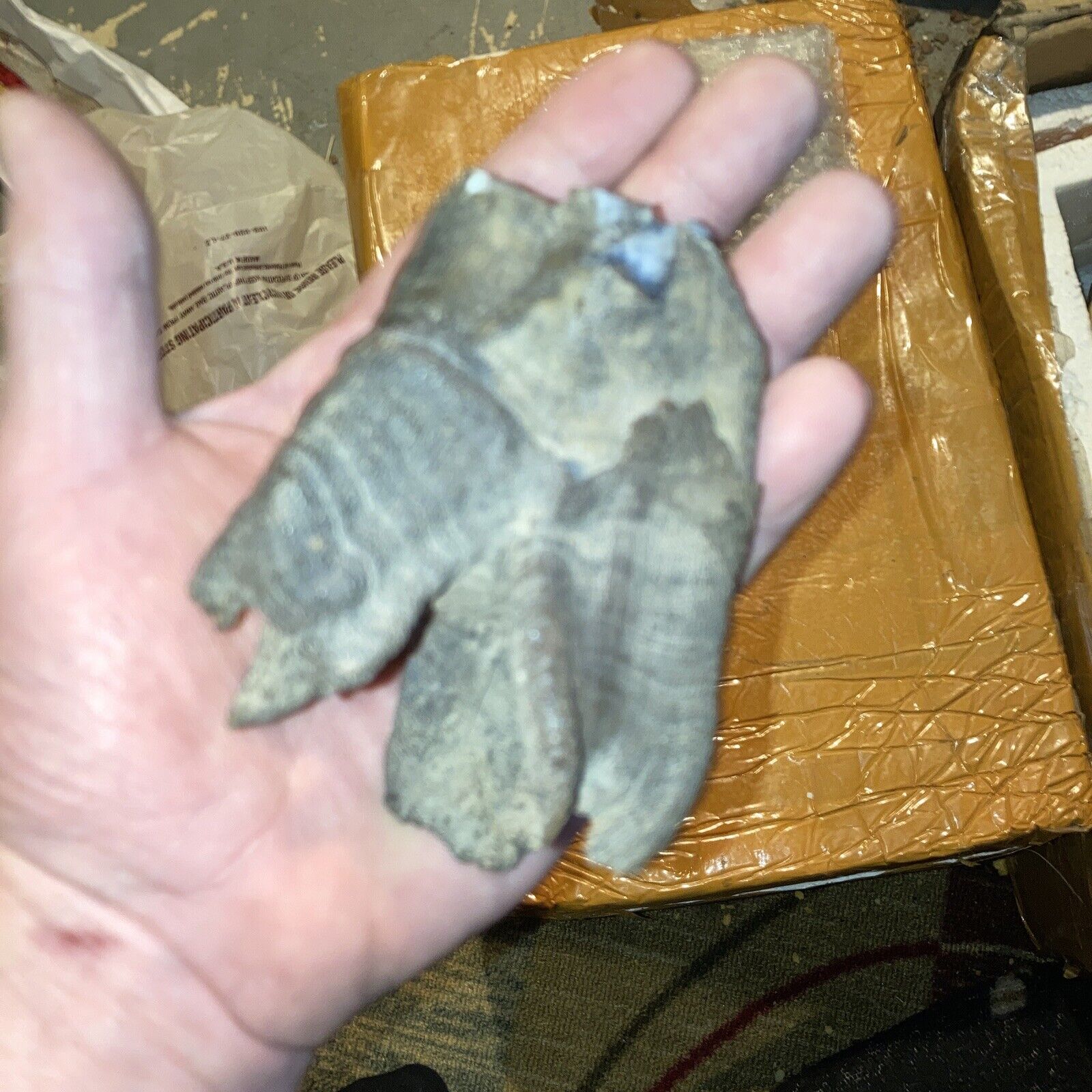 Huge Woolly Rhinoceros Fossil Tooth,with Roots Omsk Siberia Pleistocene Ice Age.